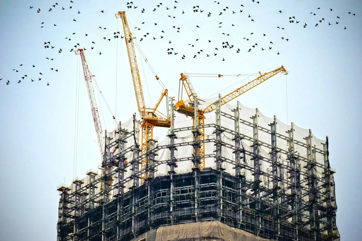 Crane Building Construction