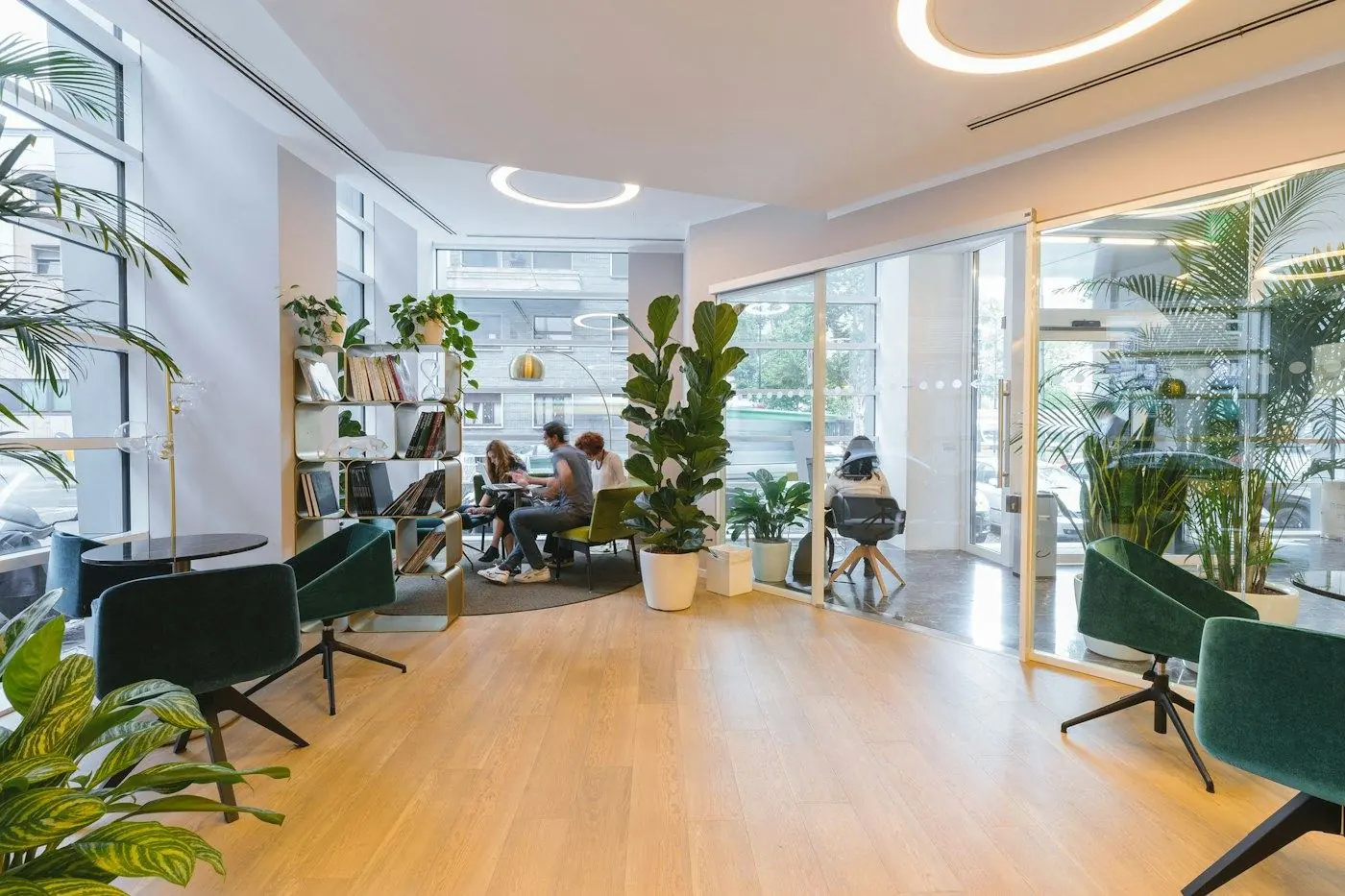 Office Green Lounge